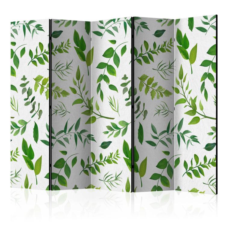 Room Divider Green Branches II (5-piece) - leafy nature on a bright background
