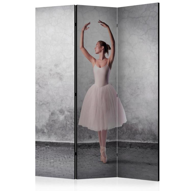 Room Divider Ballerina like Degas Painting (3-piece) - woman against a concrete background