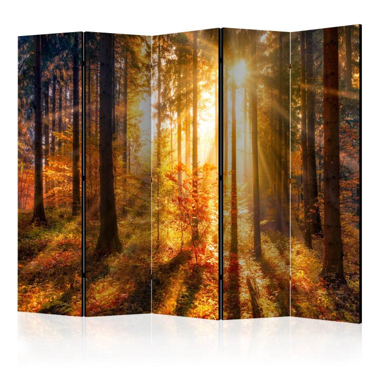 Room Divider Awakening of Autumn II (5-piece) - sunny landscape in the middle of the forest