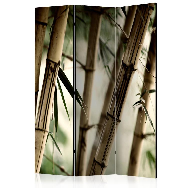 Room Divider Fog and bamboo forest [Room Dividers]