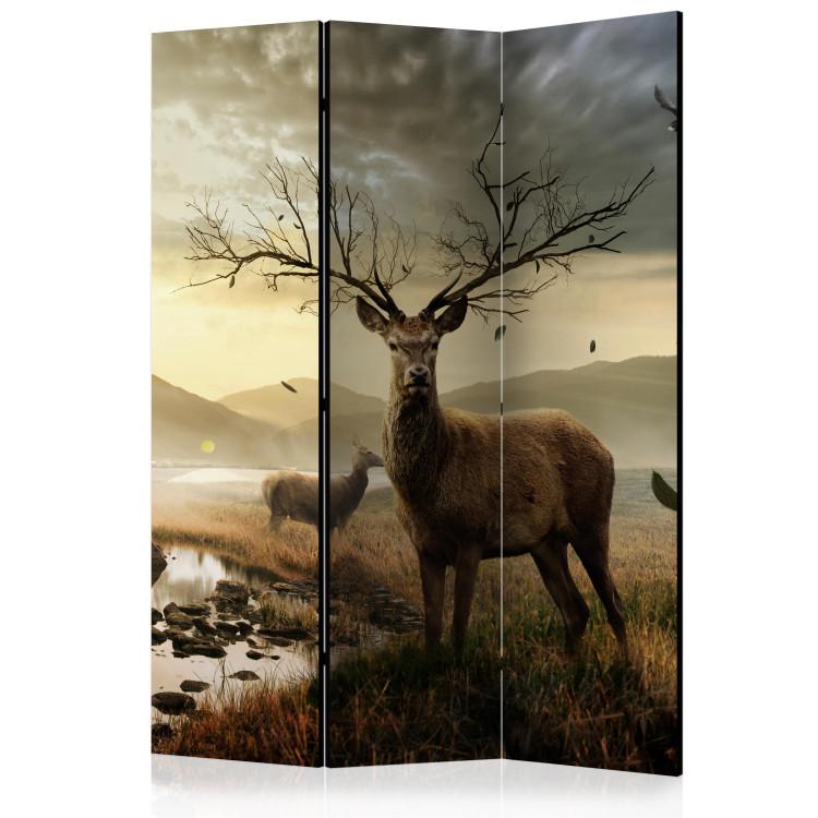 Room Divider Deer Over the Mountain Stream (3-piece) - animals against fields backdrop