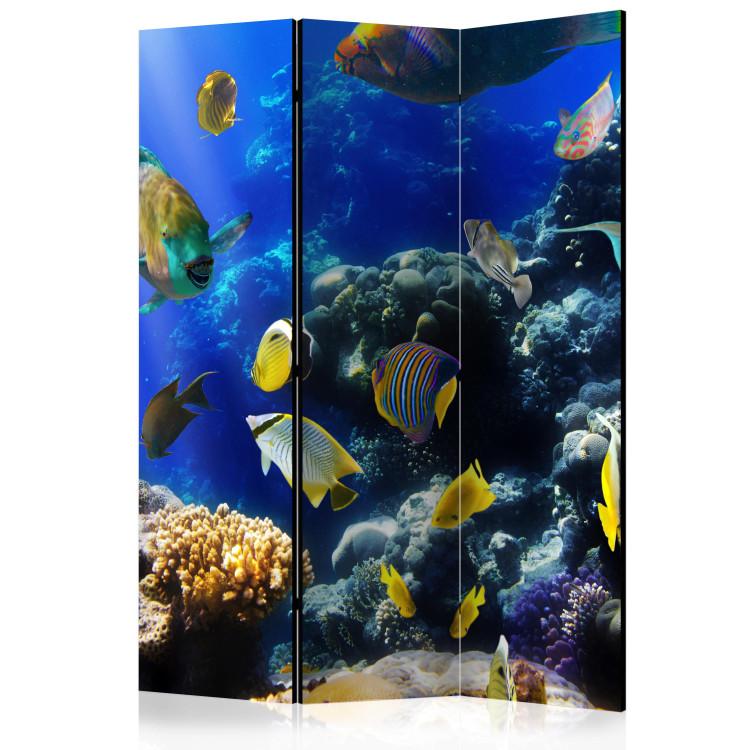 Room Divider Underwater Adventure (3-piece) - colorful fish against deep-sea backdrop