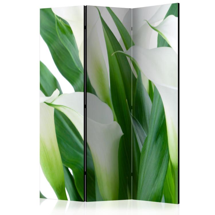 Room Divider Bouquet - Callas (3-piece) - white flowers among green leaves