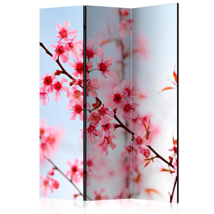 Room Divider Symbol of Japan - Sakura (3-piece) - cherry blossoms against the sky