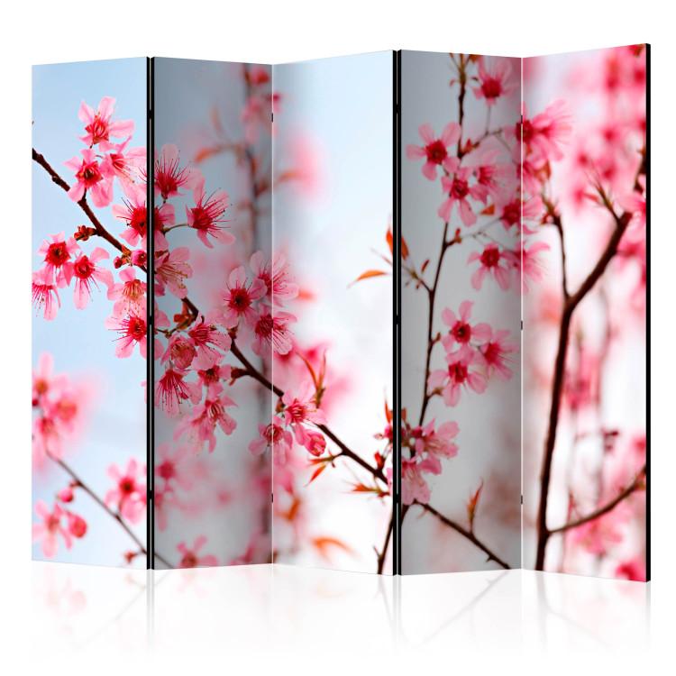 Room Divider Symbol of Japan - Sakura II (5-piece) - cherry blossoms on branches