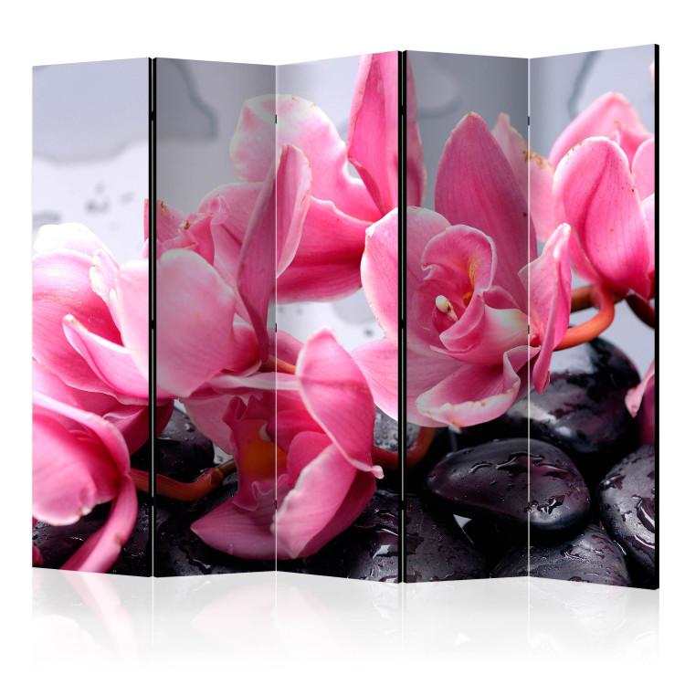 Room Divider Orchid Flowers and Zen Stones II (5-piece) - floral composition