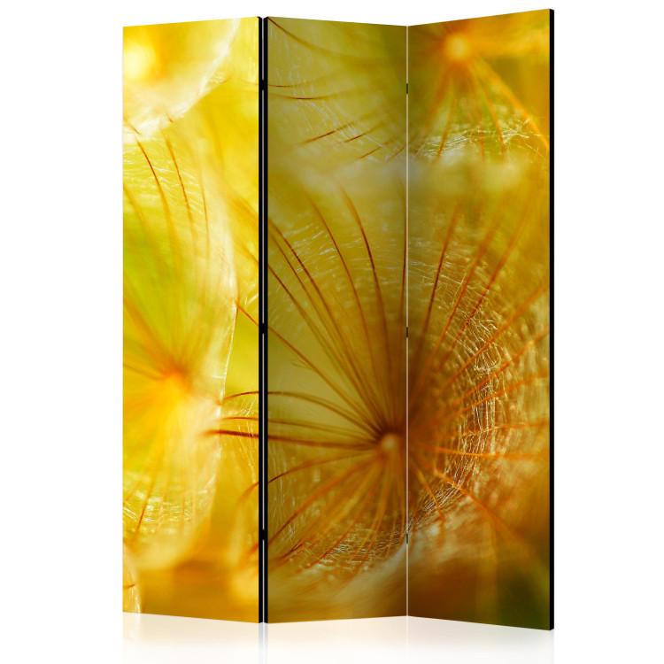Room Divider Delicate Dandelion Puffs (3-piece) - yellow fantasy in flowers