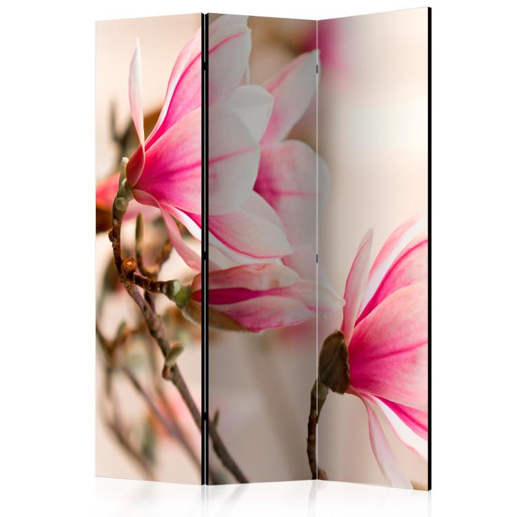 Room Divider Branch of Magnolia Tree (3-piece) - picturesque flowers and light background