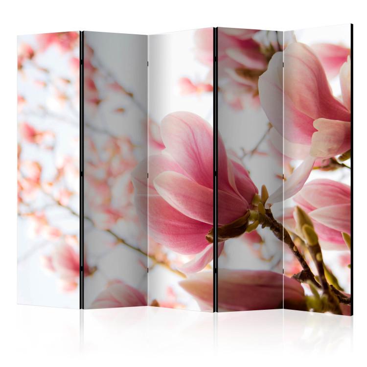 Room Divider Pink Magnolia II (5-piece) - delicate flowers among branches