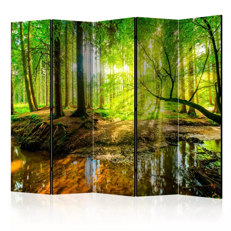 Room Divider Forest Stream II (5-piece) - waterscape among deciduous trees