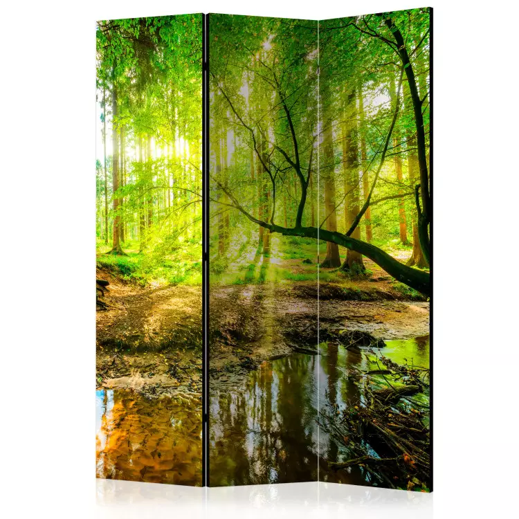 Room Divider Forest Stream (3-piece) - waterscape among deciduous tree canopies