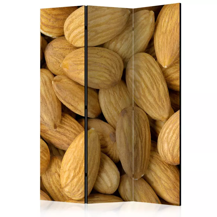 Room Divider Tasty Almonds (3-piece) - close-up of brown almonds
