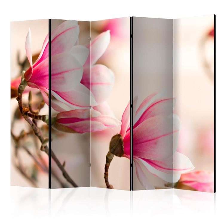 Room Divider Branch of Magnolia Tree II (5-piece) - pink flowers on a light background
