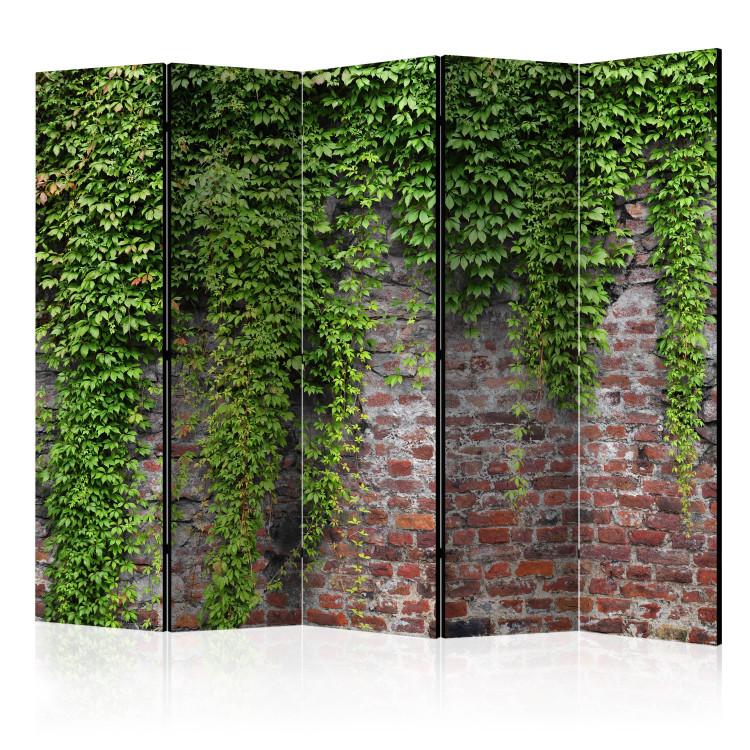 Room Divider Bricks and Ivy II (5-piece) - green plants covering the wall