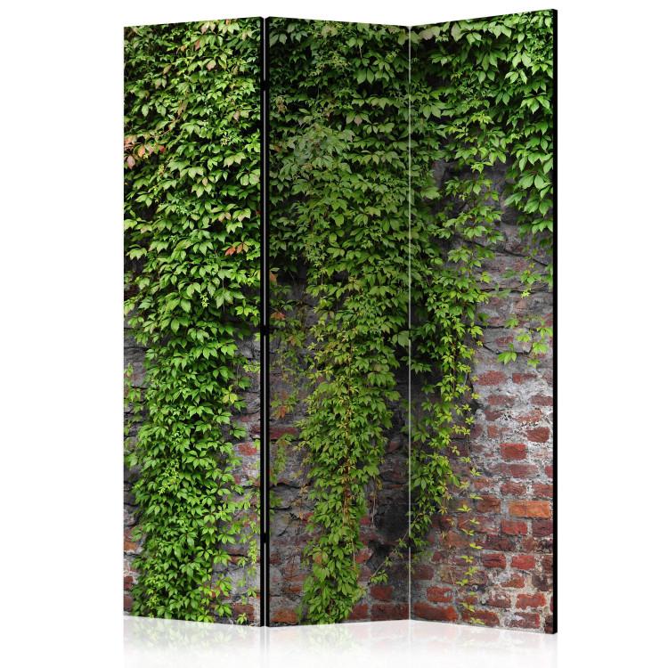 Room Divider Bricks and Ivy (3-piece) - green plant leaves cascading on a wall