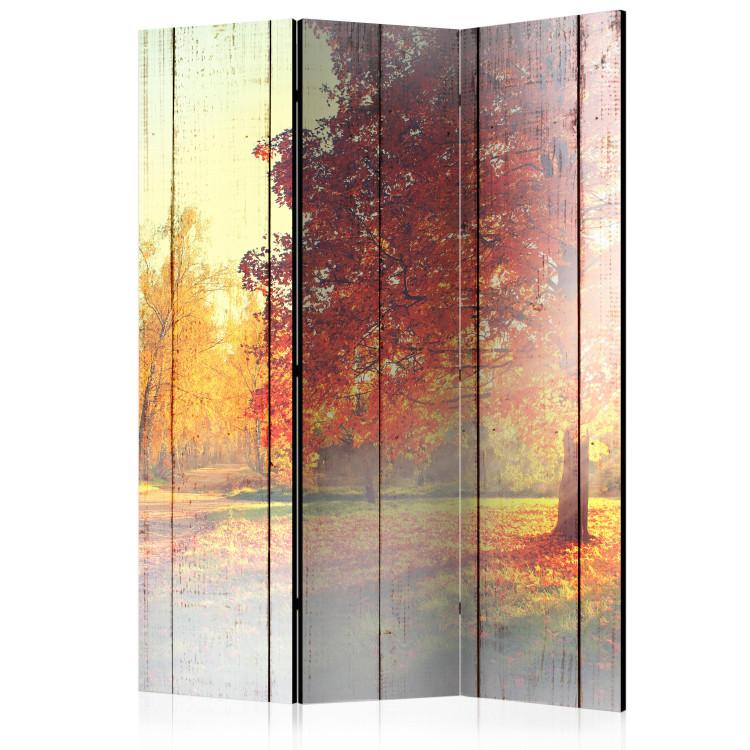 Room Divider Autumn Sun (3-piece) - warm landscape among trees