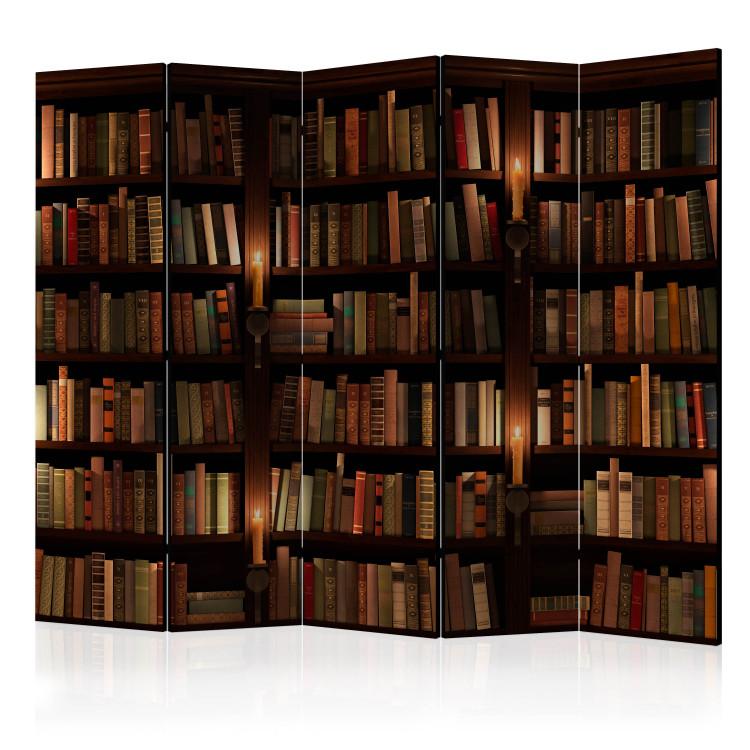 Room Divider Bookshelves II [Room Dividers]