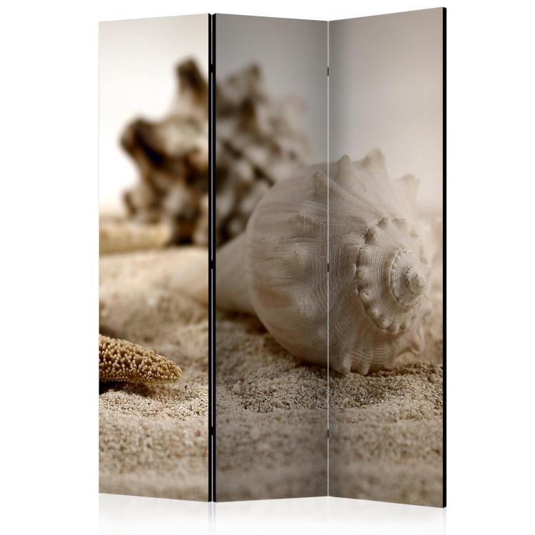 Room Divider Sand and Seashell (3-piece) - sandy beach in beige color
