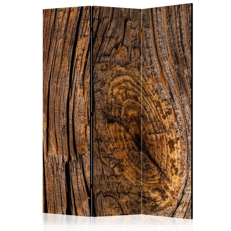 Room Divider Old Tree (3-piece) - brown composition with wood texture