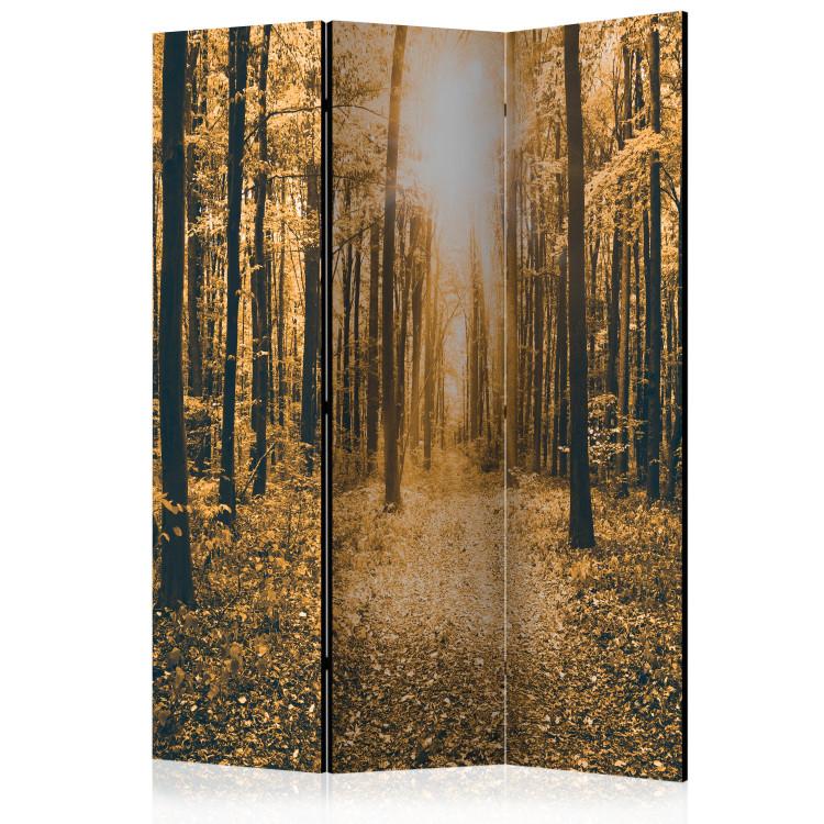 Room Divider Magical Light (3-piece) - autumn landscape among forest trees
