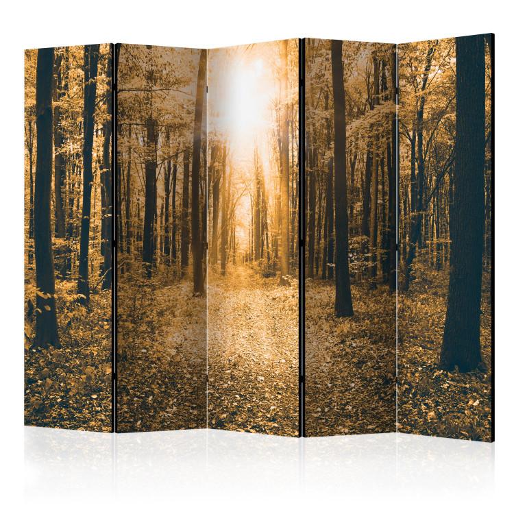 Room Divider Magical Light II (5-piece) - sepia-toned landscape of autumn trees