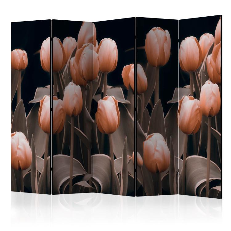 Room Divider Ladies among the Flowers II (5-piece) - bouquet of pink tulips