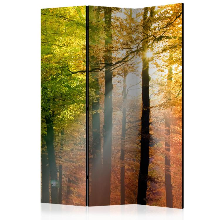Room Divider Forest Colors (3-piece) - colorful landscape among deciduous trees