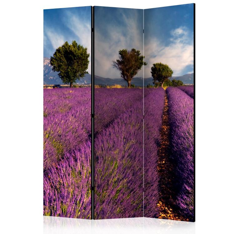 Room Divider Lavender Field: France (3-piece) - landscape of purple lavender fields