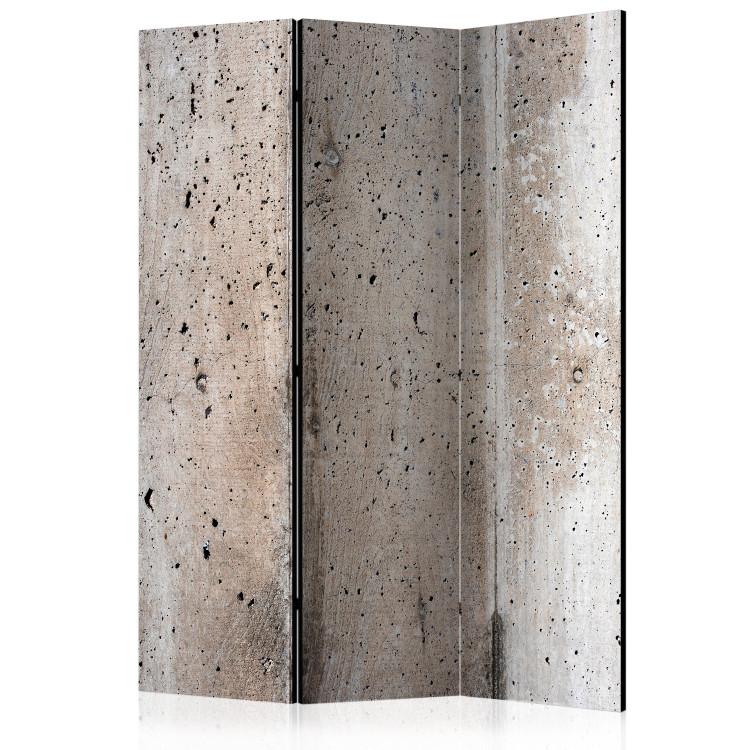 Room Divider Old Concrete (3-piece) - industrial composition with concrete background