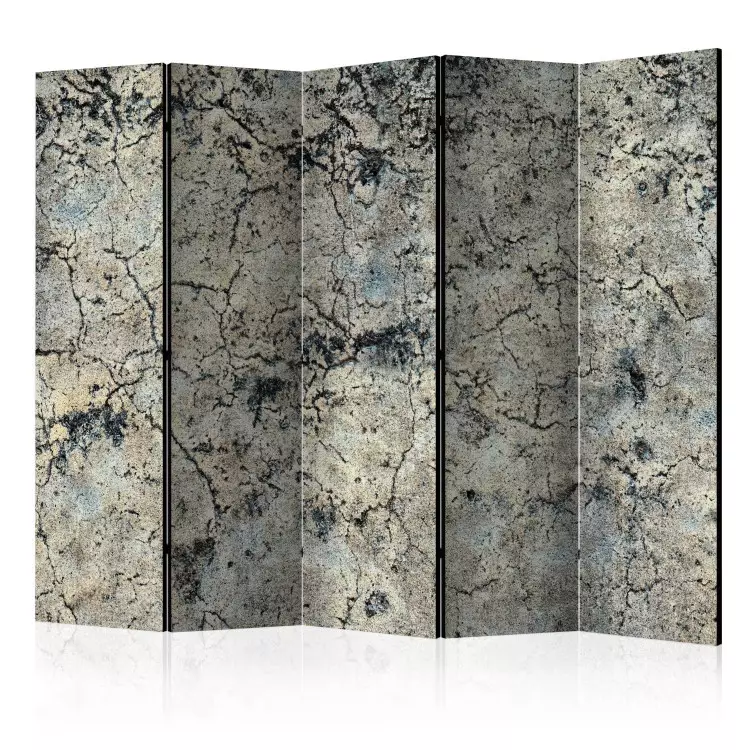 Room Divider Cracked Stone II (5-piece) - composition in shades of gray