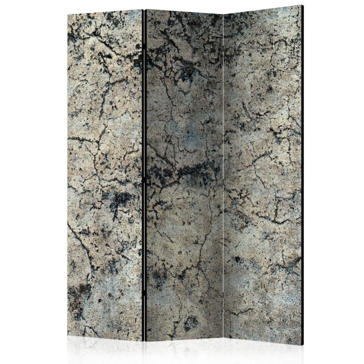 Room Divider Cracked Stone (3-piece) - composition with background in gray shades
