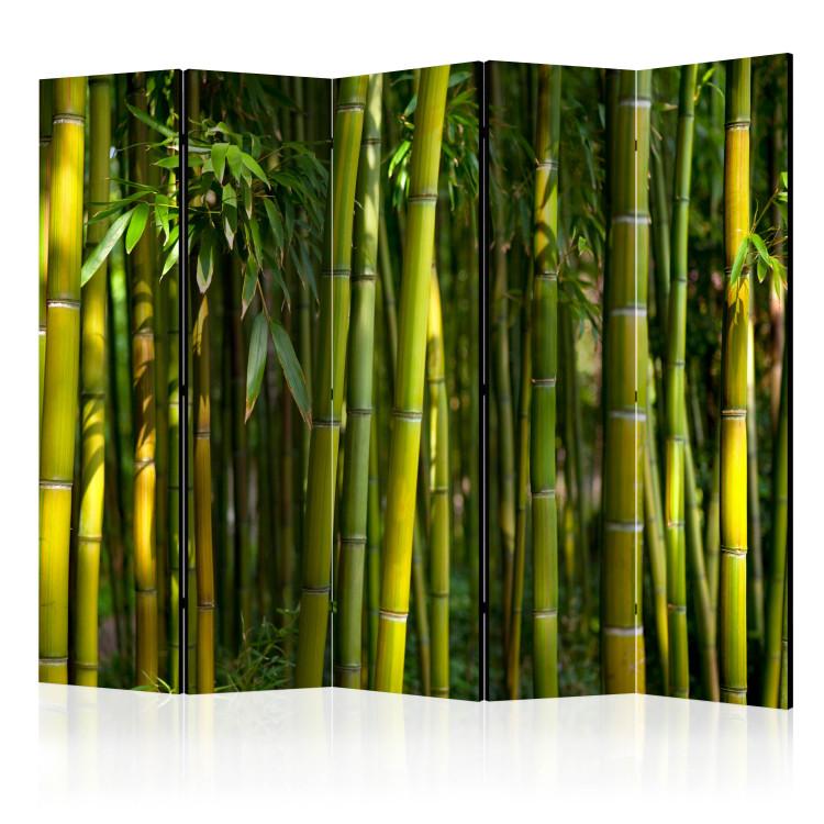 Room Divider Oriental Garden II (5-piece) - pattern in green bamboo sticks