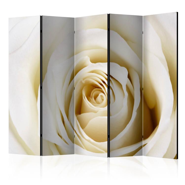 Room Divider Pearl Maze II (5-piece) - composition in delicate rose petals