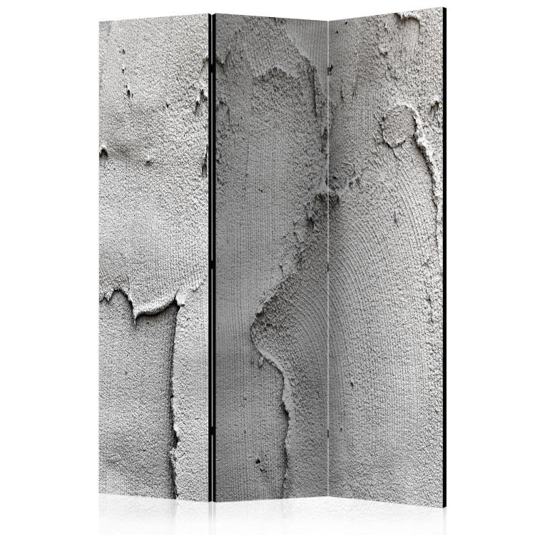 Room Divider Concrete Emptiness (3-piece) - simple composition in gray shades