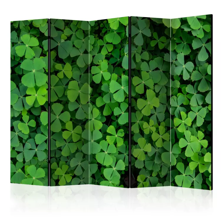 Room Divider Green Clover II (5-piece) - composition with a floral motif