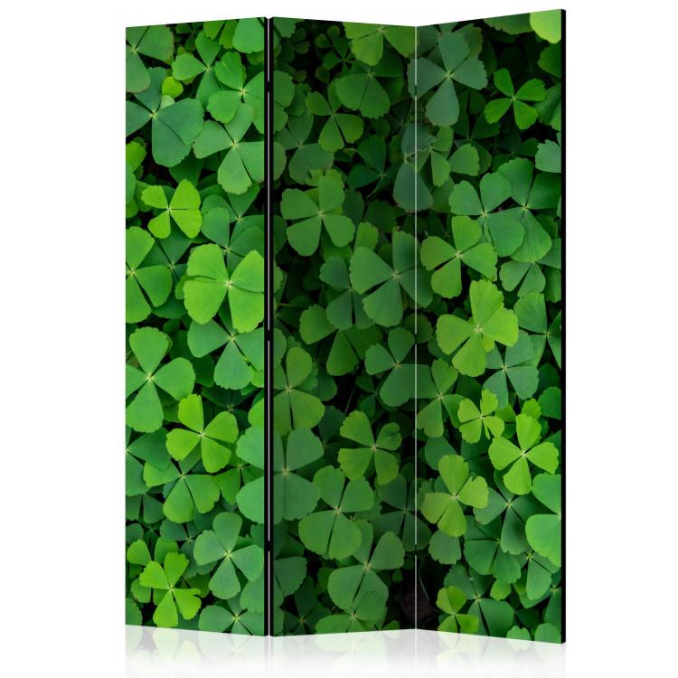 Room Divider Green Clover (3-piece) - simple composition with delicate leaves
