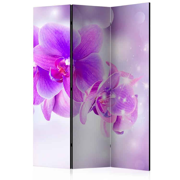 Room Divider Purple Orchids (3-piece) - simple composition in orchid flowers