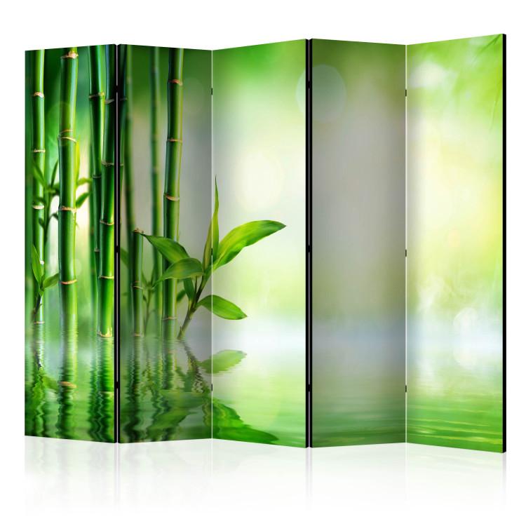 Room Divider Bamboo Grove II (5-piece) - lush green composition in zen style