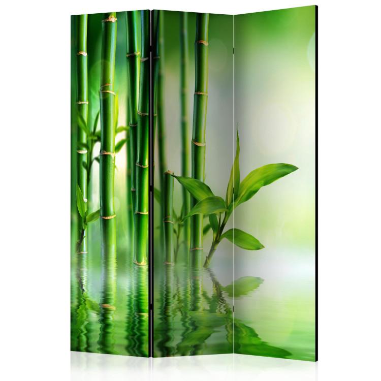 Bamboo Grove (3-piece) - simple green composition in zen style
