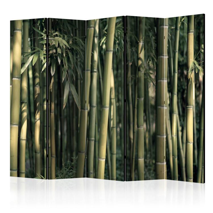 Room Divider Exotic Bamboo II (5-piece) - composition in a bamboo-filled forest