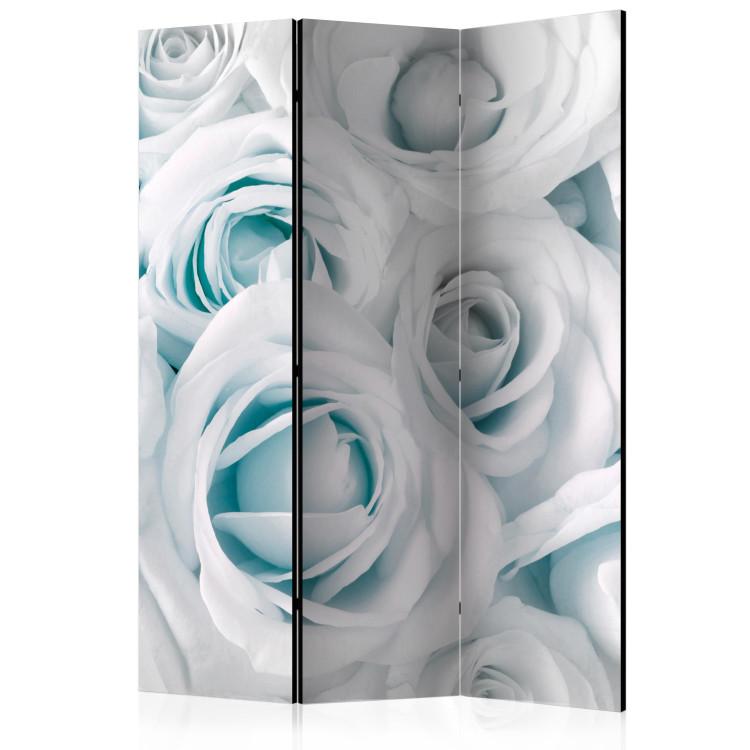 Room Divider Silk Rose (Turquoise) (3-piece) - composition with white flowers