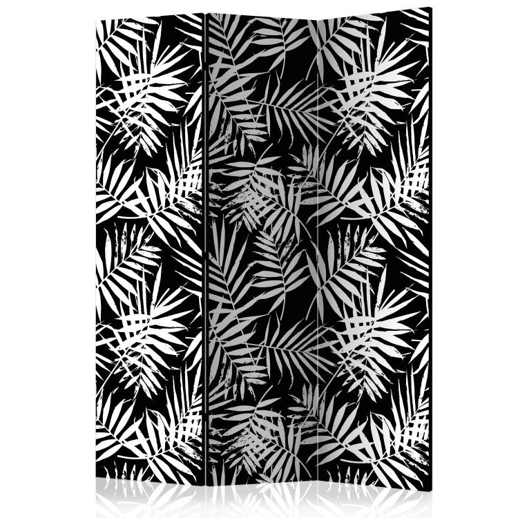 Room Divider Black and White Jungle (3-piece) - tropical background full of palm leaf