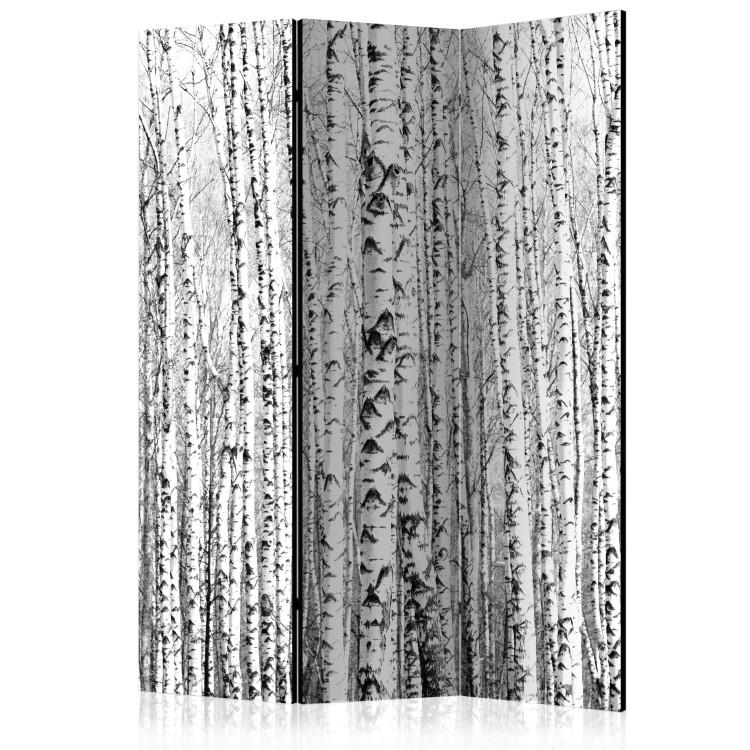 Room Divider Birch Forest (3-piece) - black and white landscape among tall trees