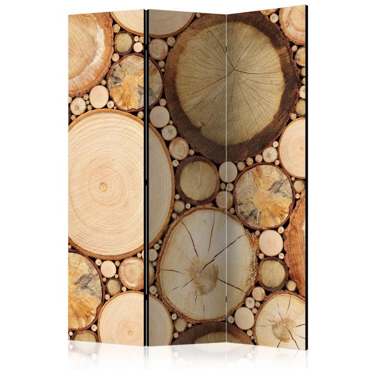 Room Divider Wood Layers (3-piece) - wooden composition in brown pattern