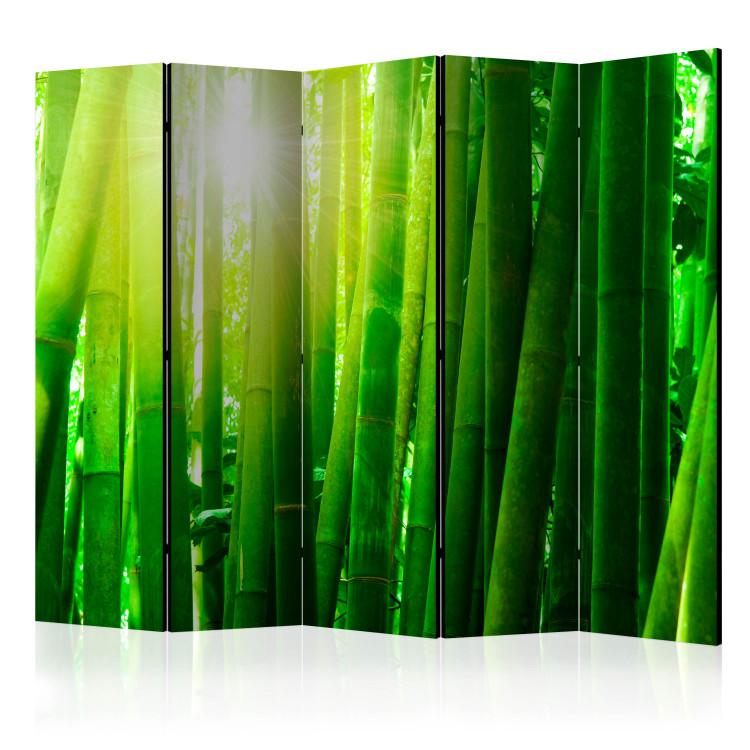 Room Divider Sun and bamboo II [Room Dividers]