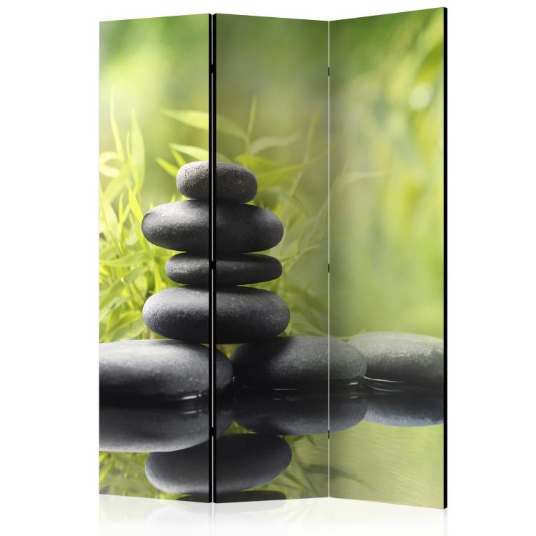 Room Divider Serenity of nature [Room Dividers]