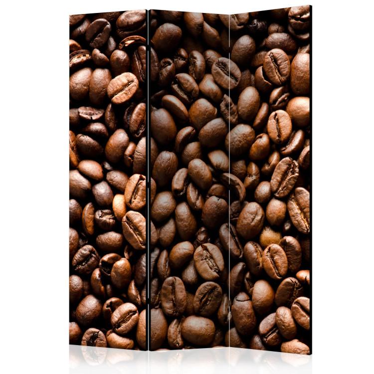 Room Divider Roasted Coffee Beans (3-piece) - composition of brown coffee beans