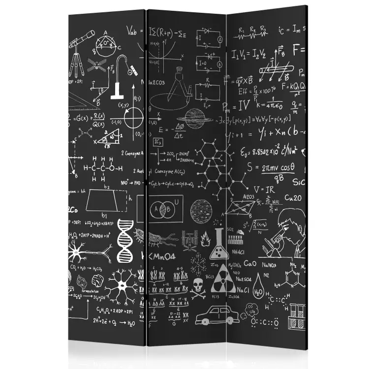 Room Divider Scientific Board (3-piece) - black and white composition with inscriptions