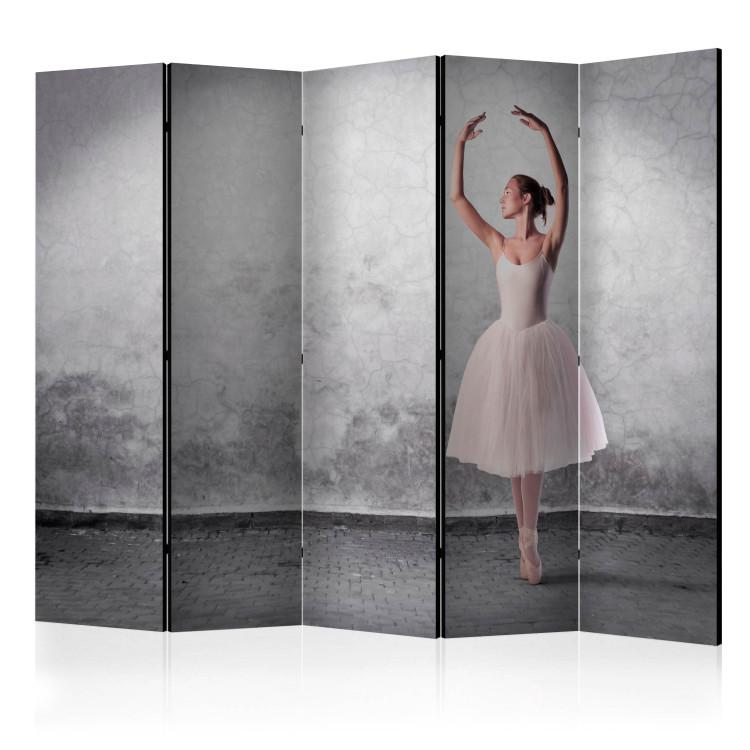 Room Divider Ballerina Like from Degas' Painting II (5-piece) - dancing woman