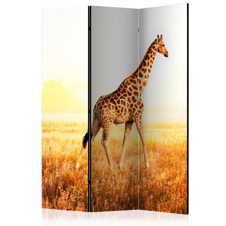 Room Divider Giraffe - Stroll (3-piece) - wild animal against a sunny field